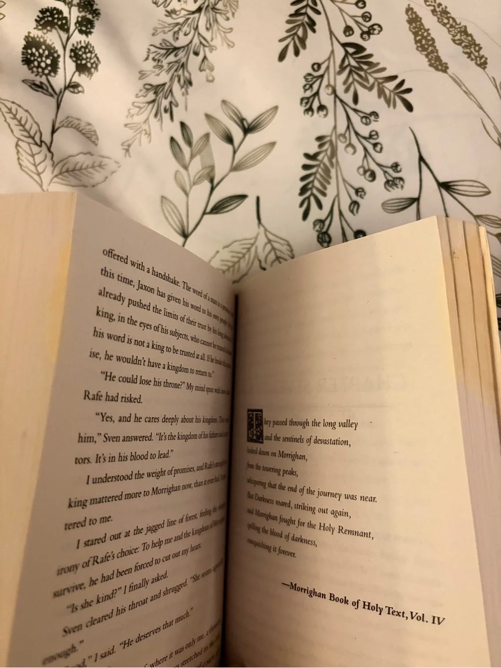 The Beauty of Darkness Book by Mary E. Pearson